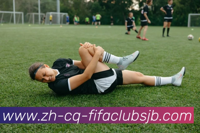 App Interface Preview